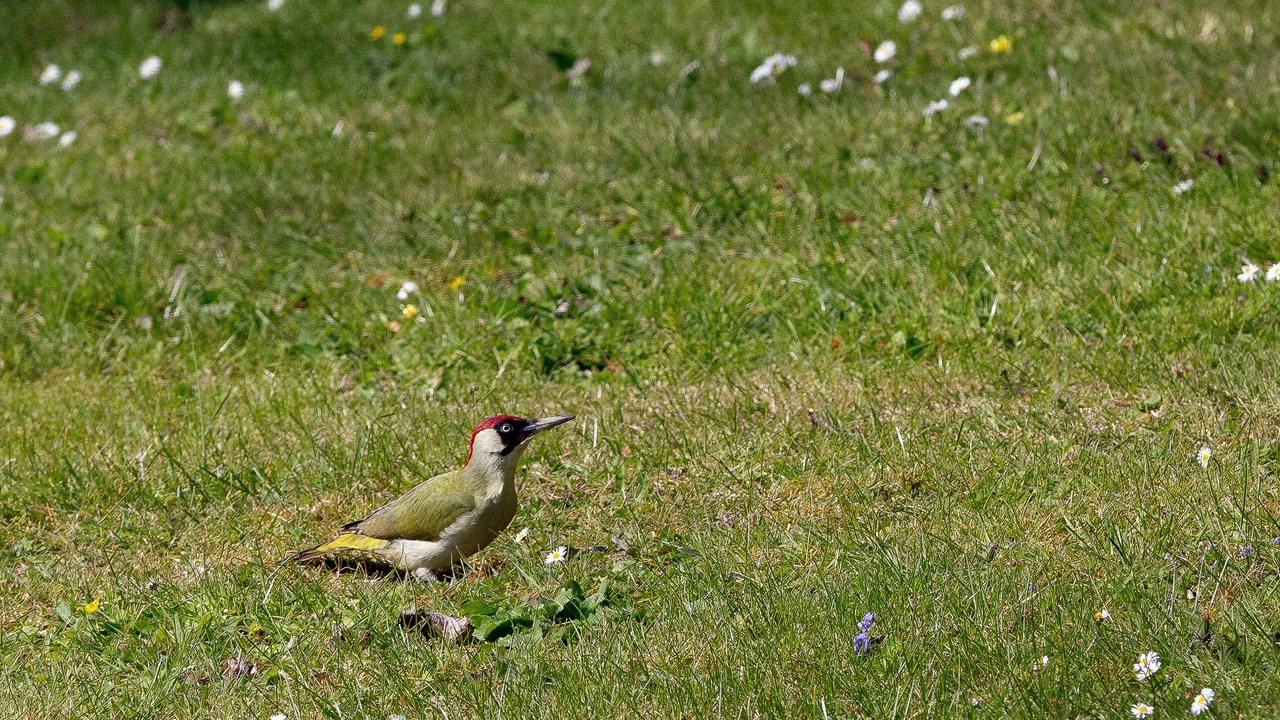 Photo of Outdoor in Trefumel