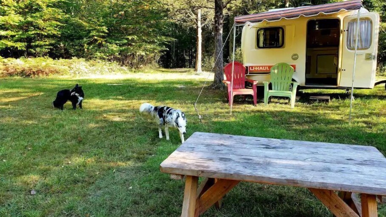 Photo of Outdoor in Pine Bush