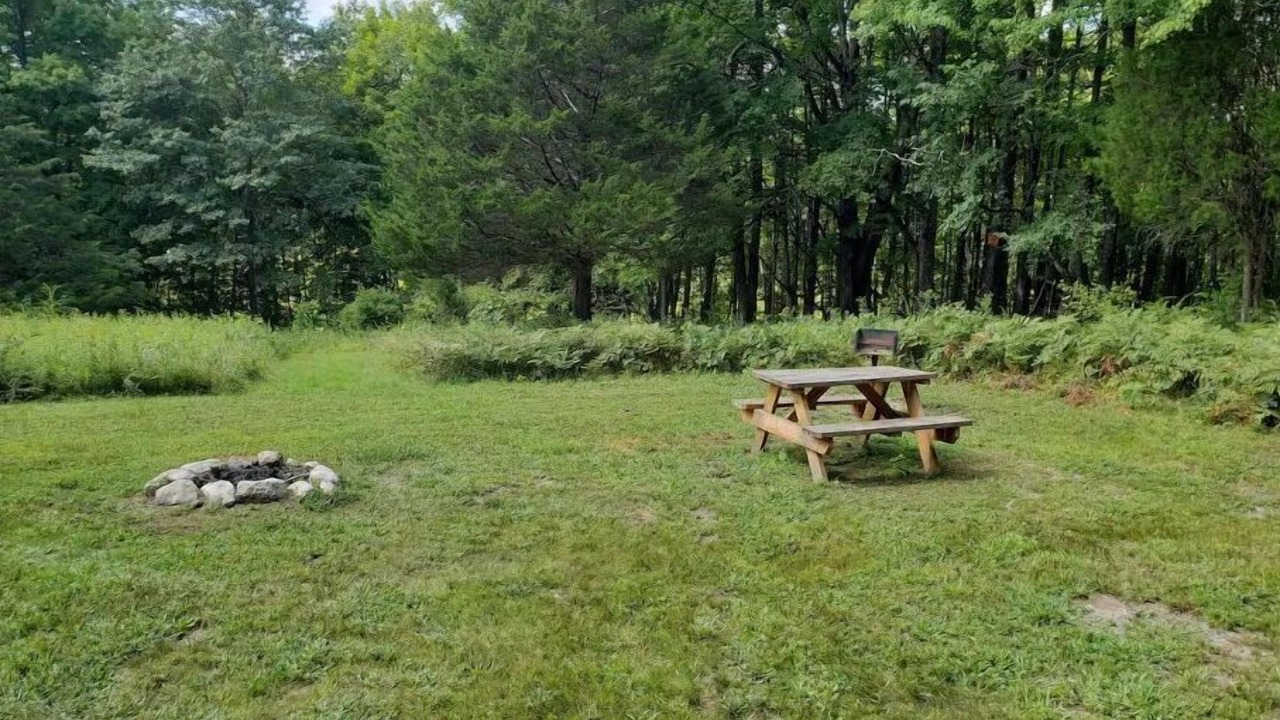 Photo of Outdoor in Pine Bush