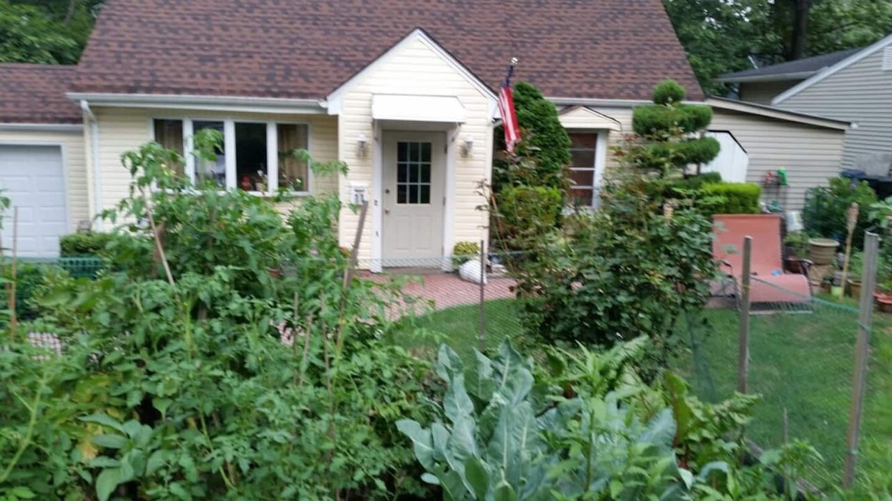Photo of Outdoor in Livingston