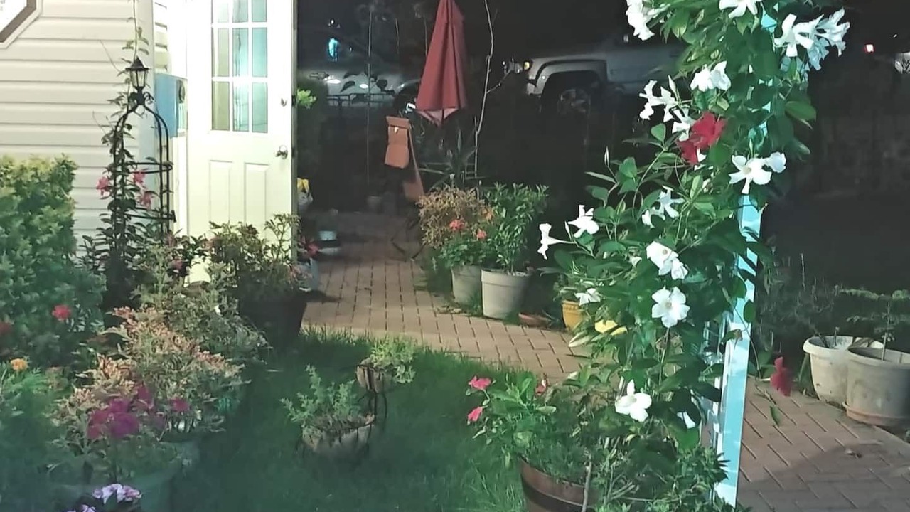 Photo of Outdoor in Livingston