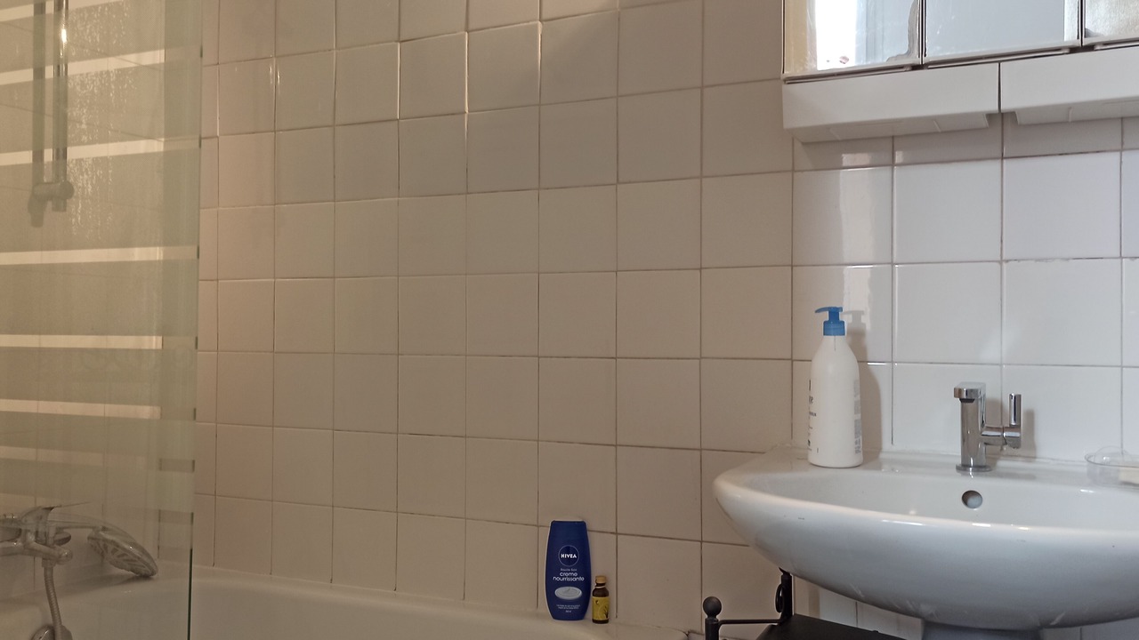Photo of Bathroom in Fer a Cheval