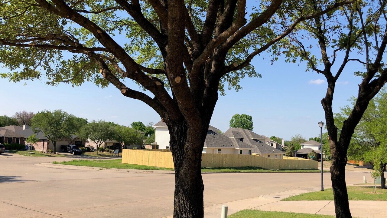 Photo of Others in Dallas