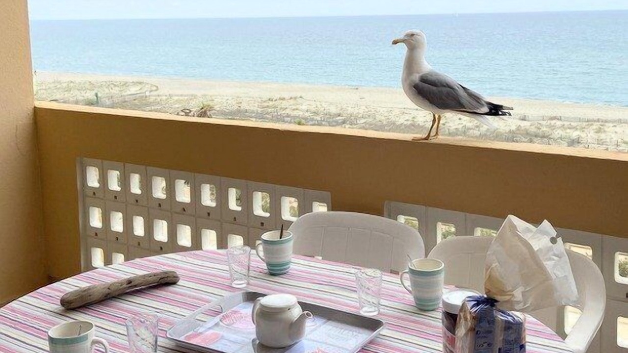 Photo of Outdoor in Le Barcares