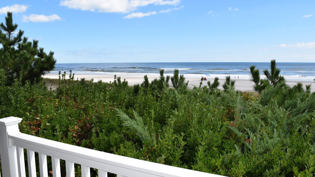 Photo of Outdoor in Townsend's Inlet