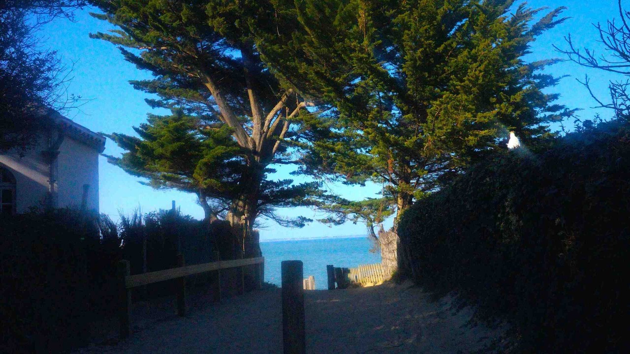 Photo of Outdoor in Noirmoutier-en-l'Ile