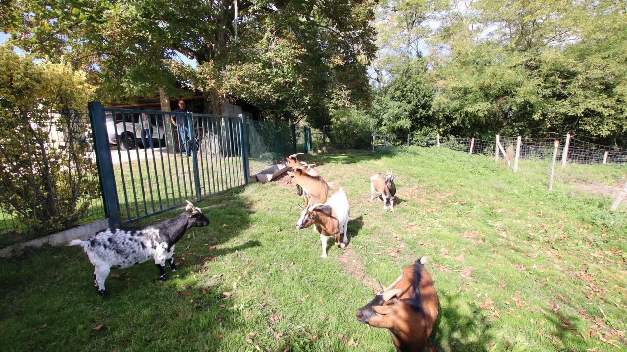 Photo of Outdoor in Mascaraas-Haron