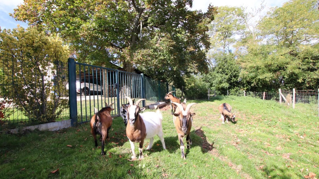 Photo of Outdoor in Mascaraas-Haron