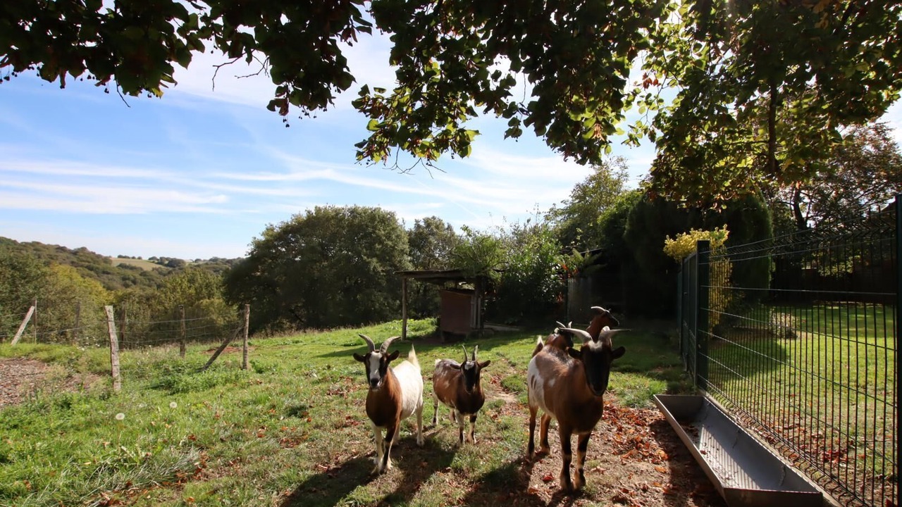 Photo of Outdoor in Mascaraas-Haron