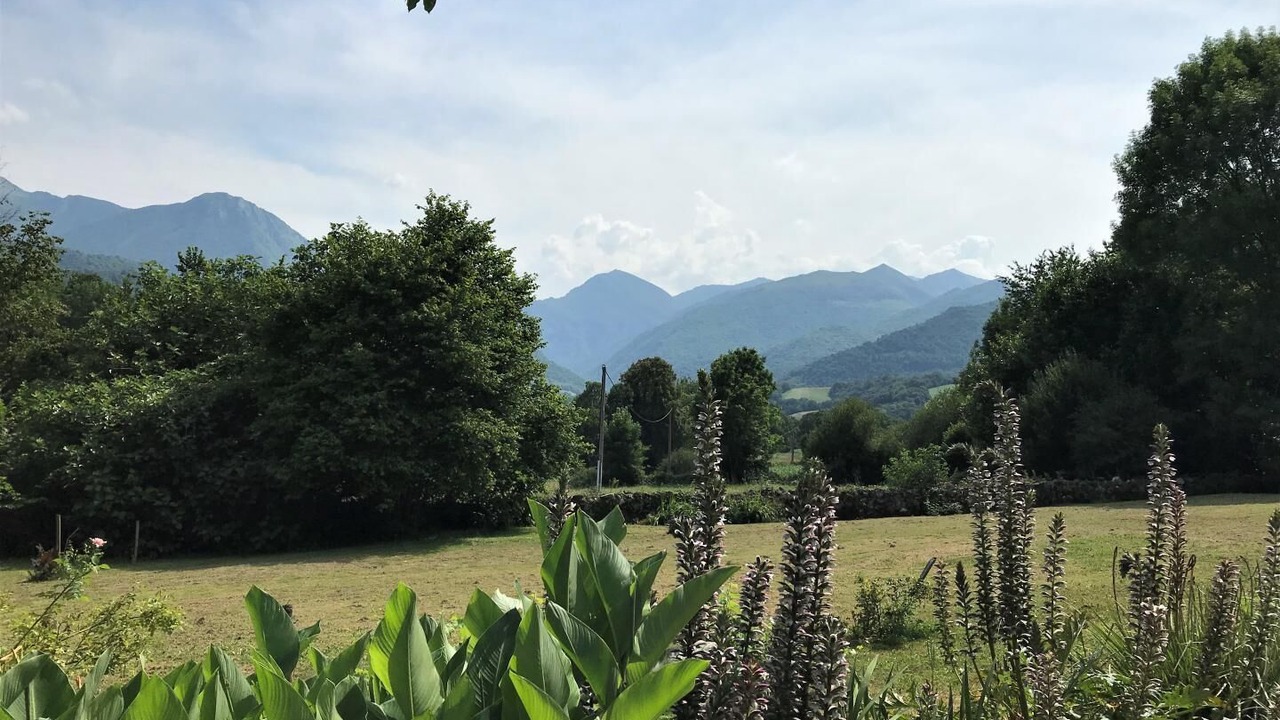 Photo of Outdoor in Asson