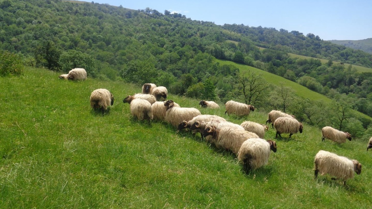 Photo of Outdoor in Juxue