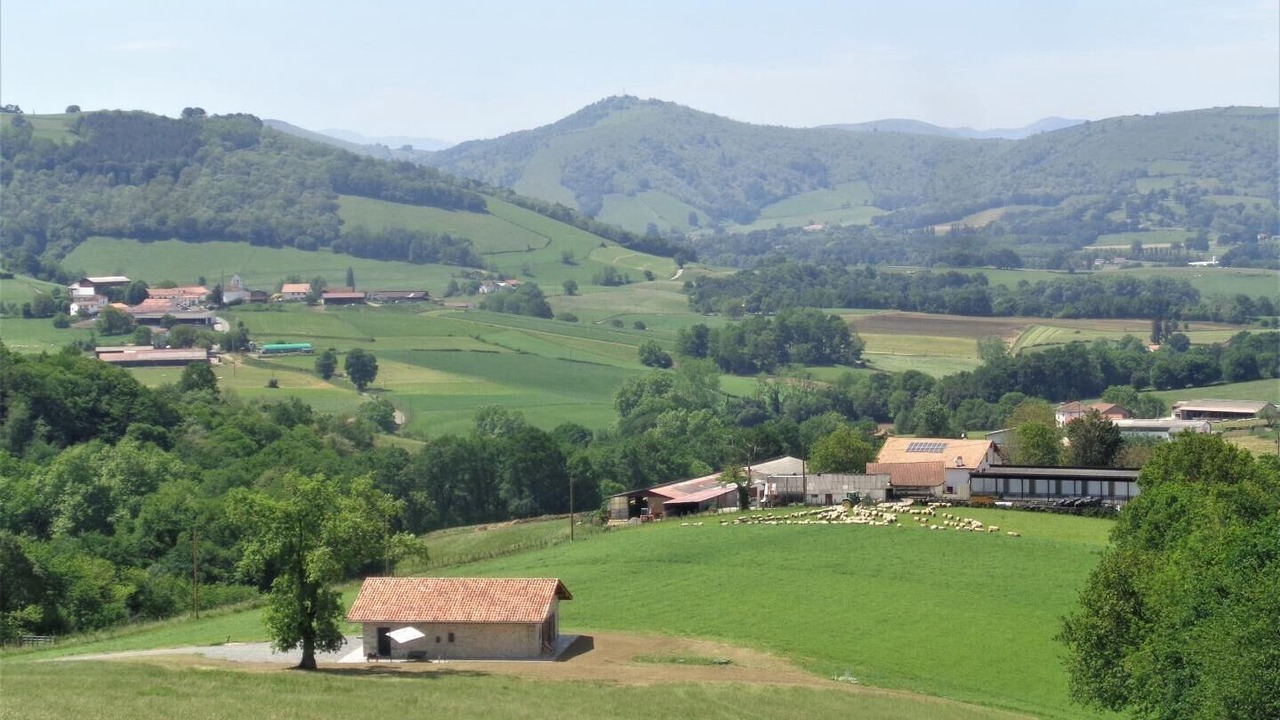 Photo of Others in Juxue