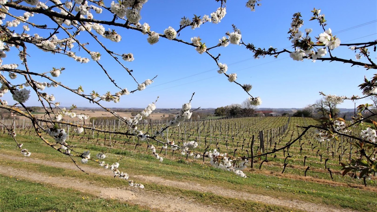 Photo of Outdoor in Aydie