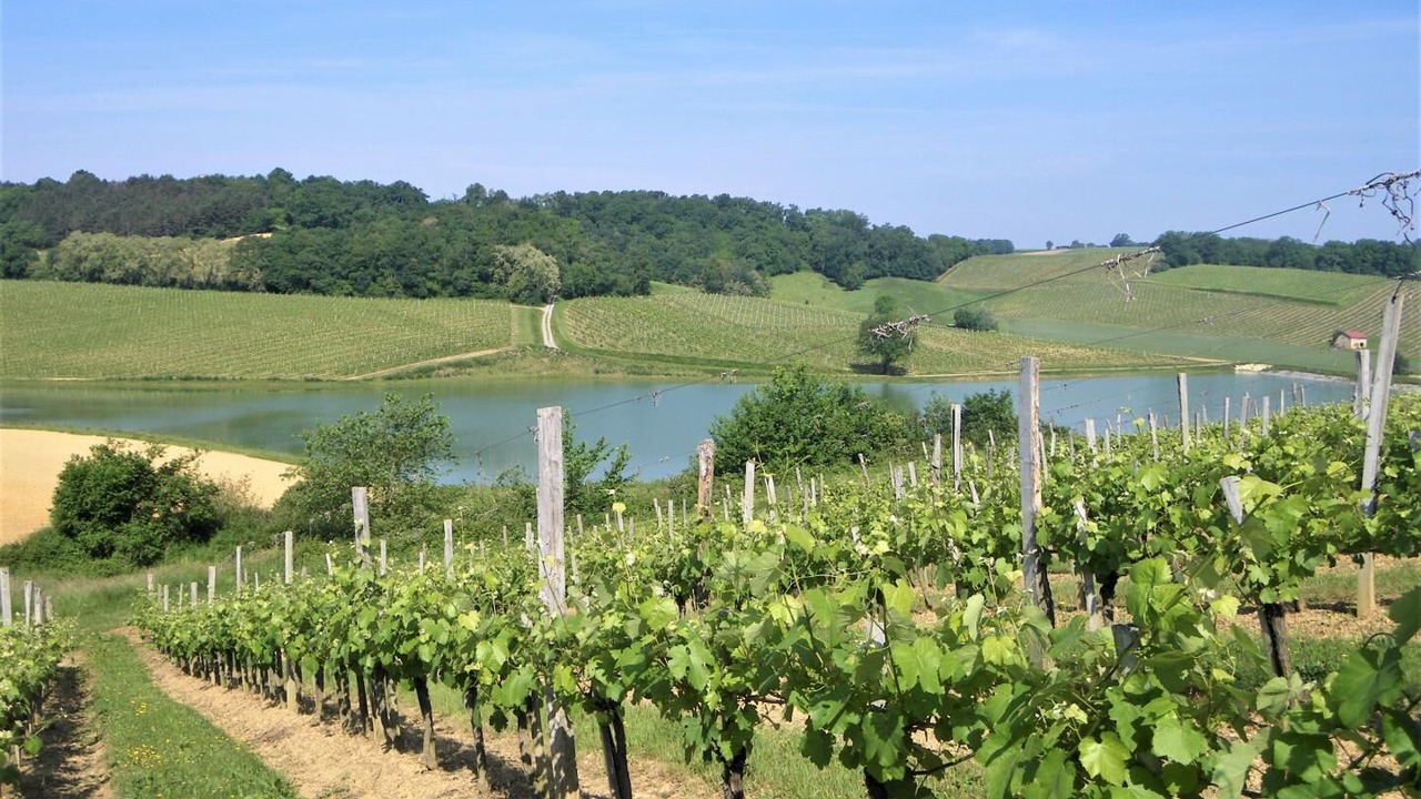 Photo of Outdoor in Aydie