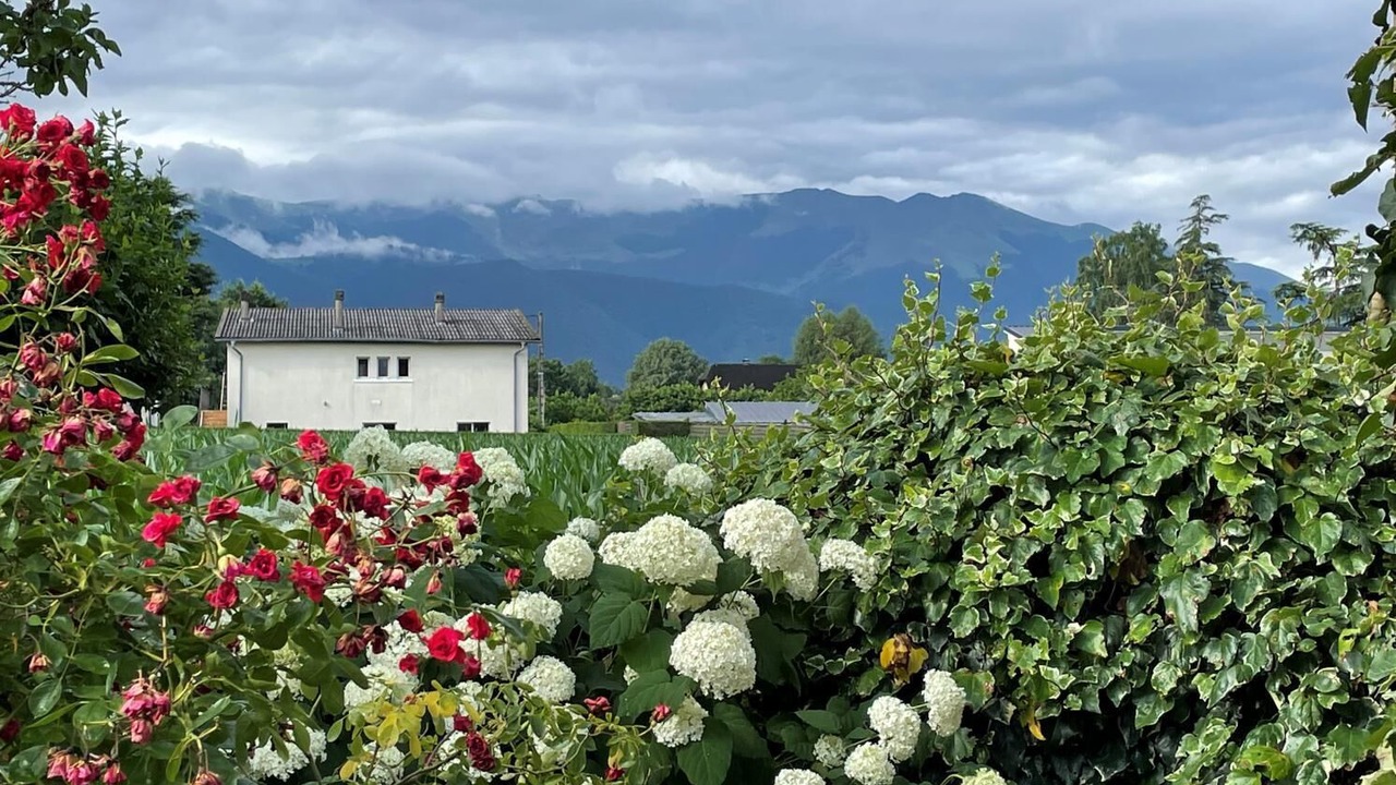 Photo of Outdoor in Asson