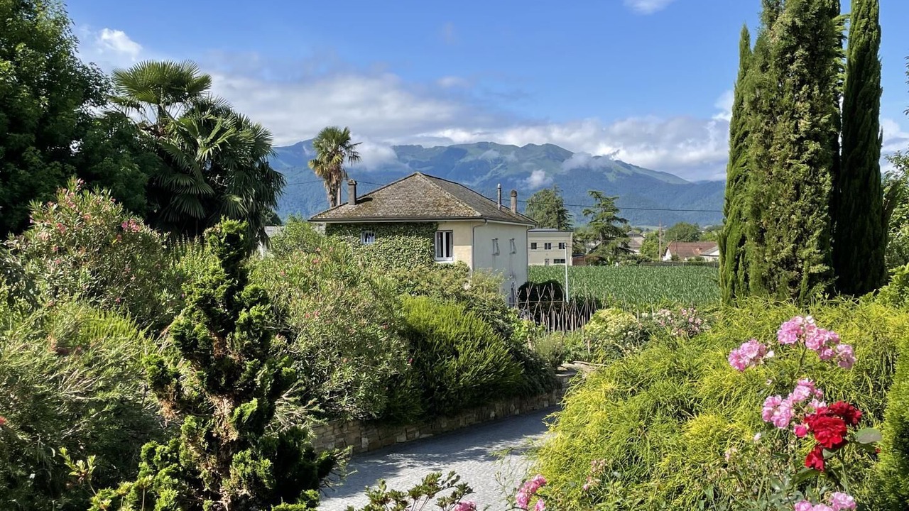 Photo of Outdoor in Asson