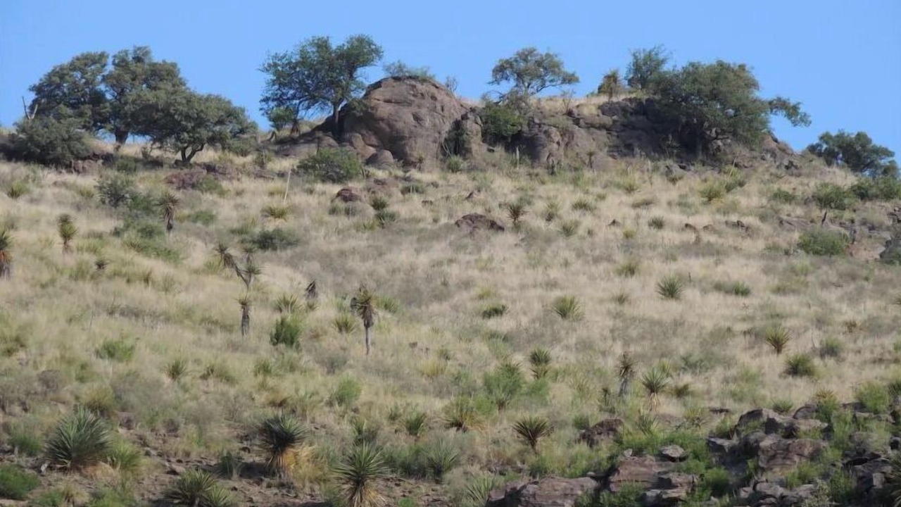 Photo of Outdoor in Fort Davis
