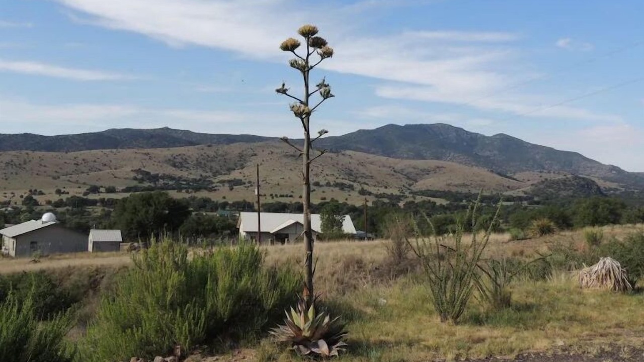 Photo of Outdoor in Fort Davis