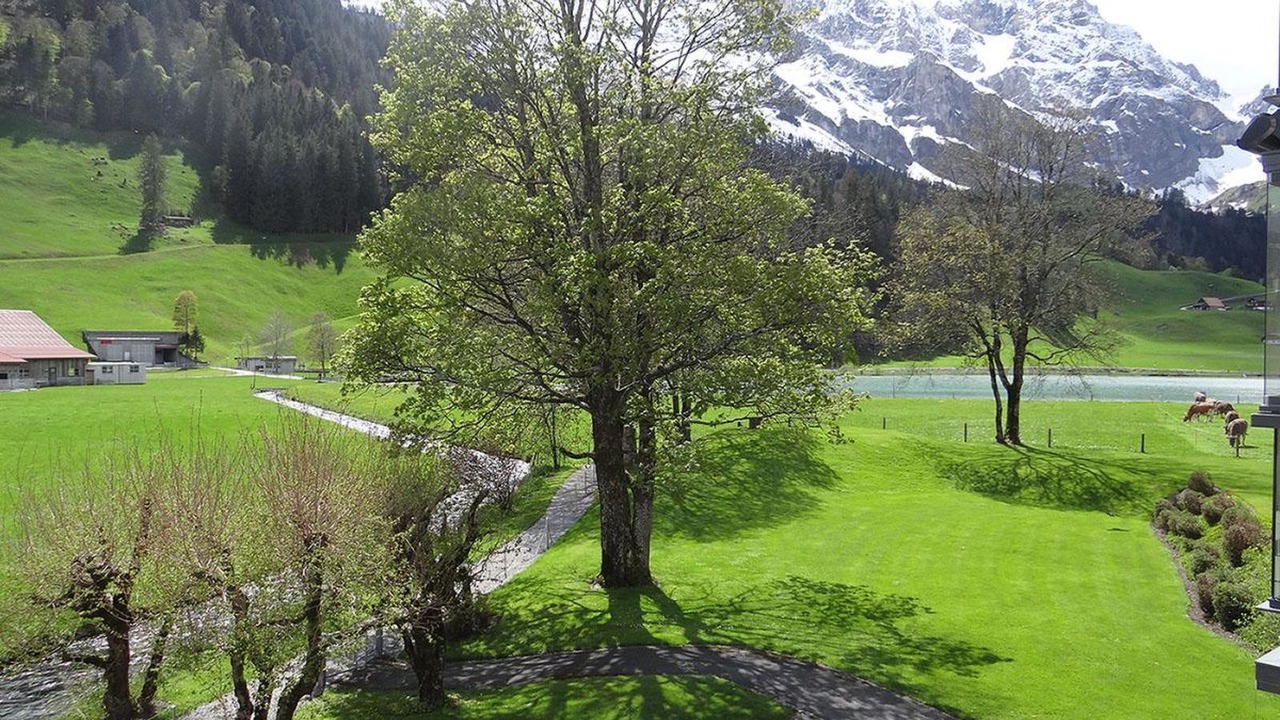 Photo of Outdoor in Engelberg