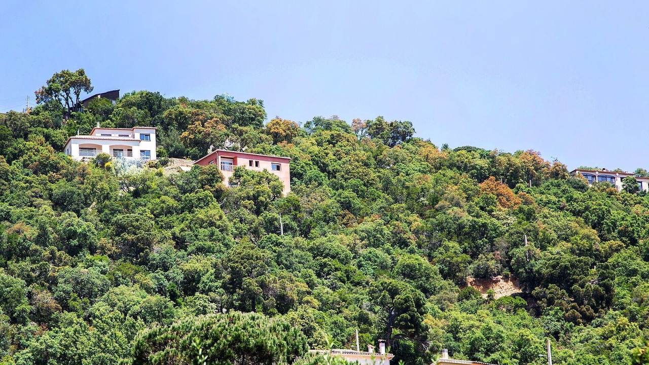 Photo of Others in Santa Cristina de Aro