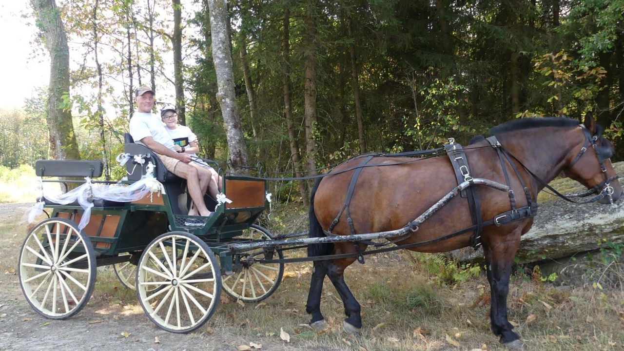 Photo of Others in Saint-Jory-de-Chalais
