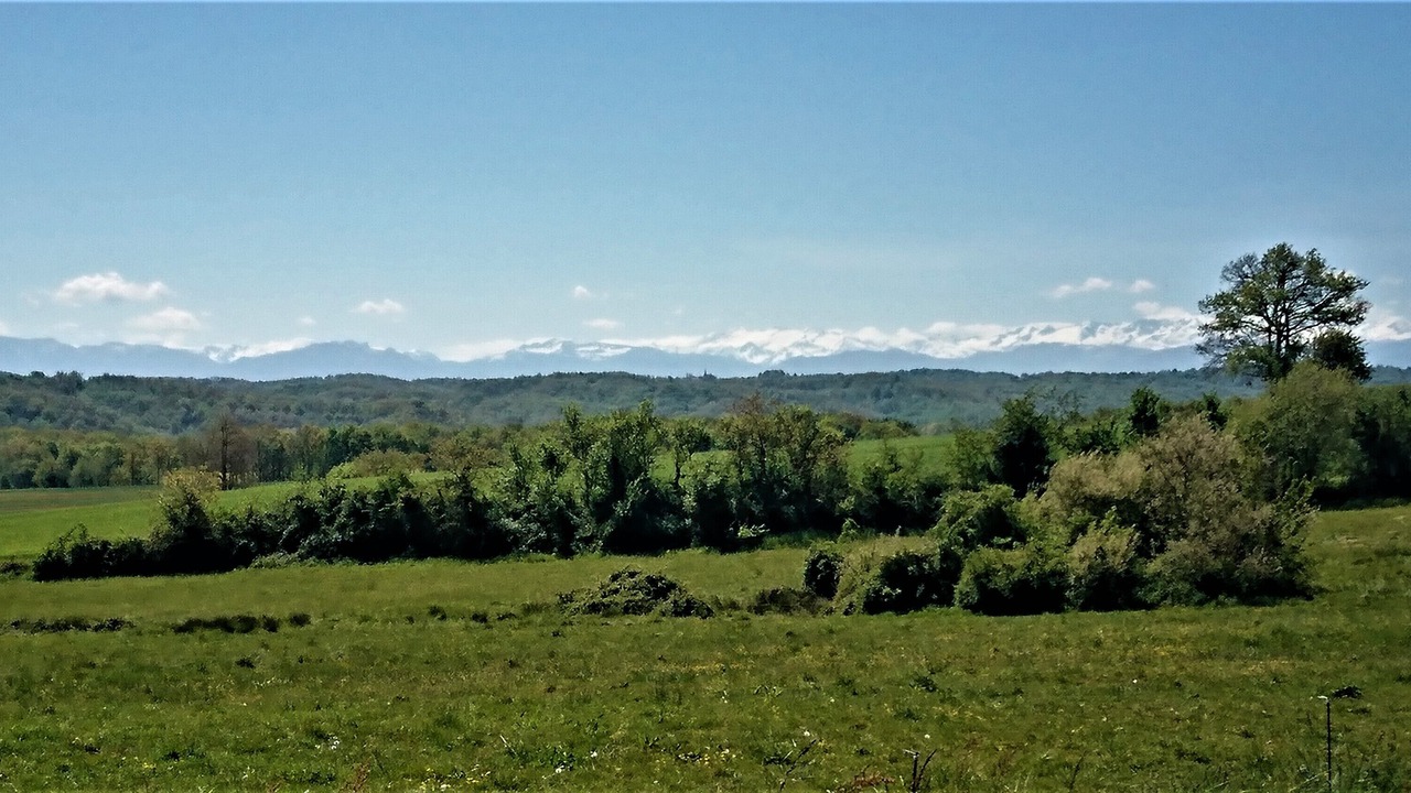 Photo of Outdoor in Arrouede