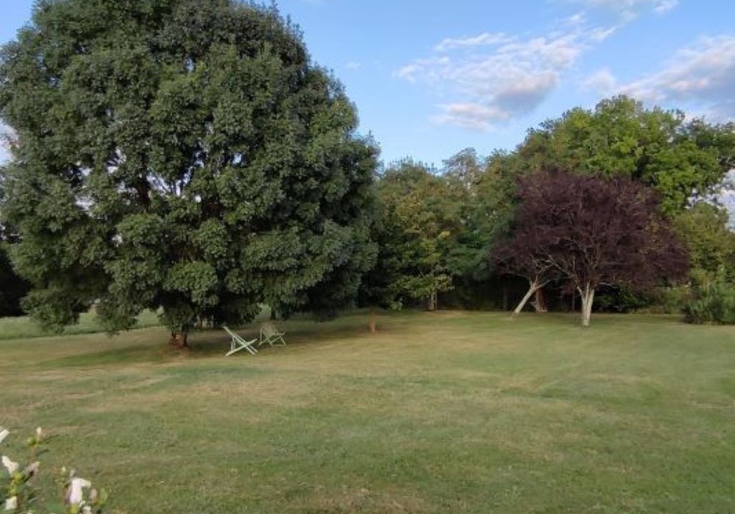 Photo of Outdoor in Arrouede