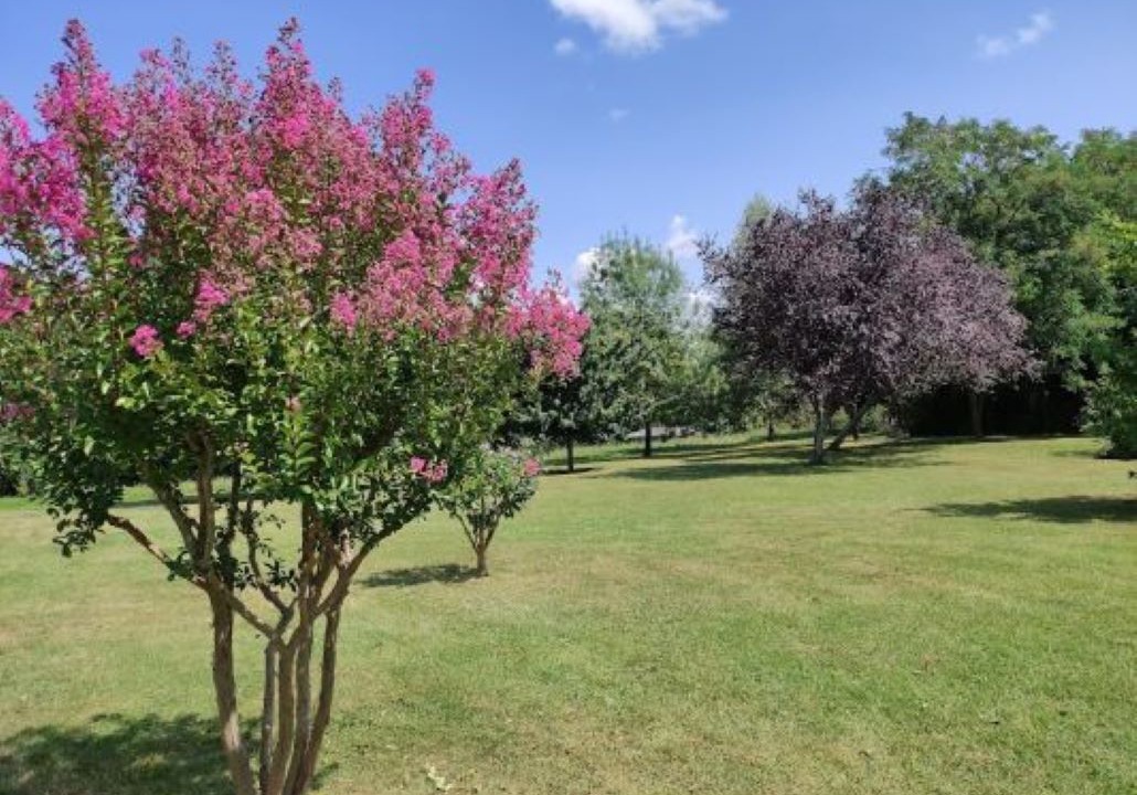 Photo of Outdoor in Arrouede