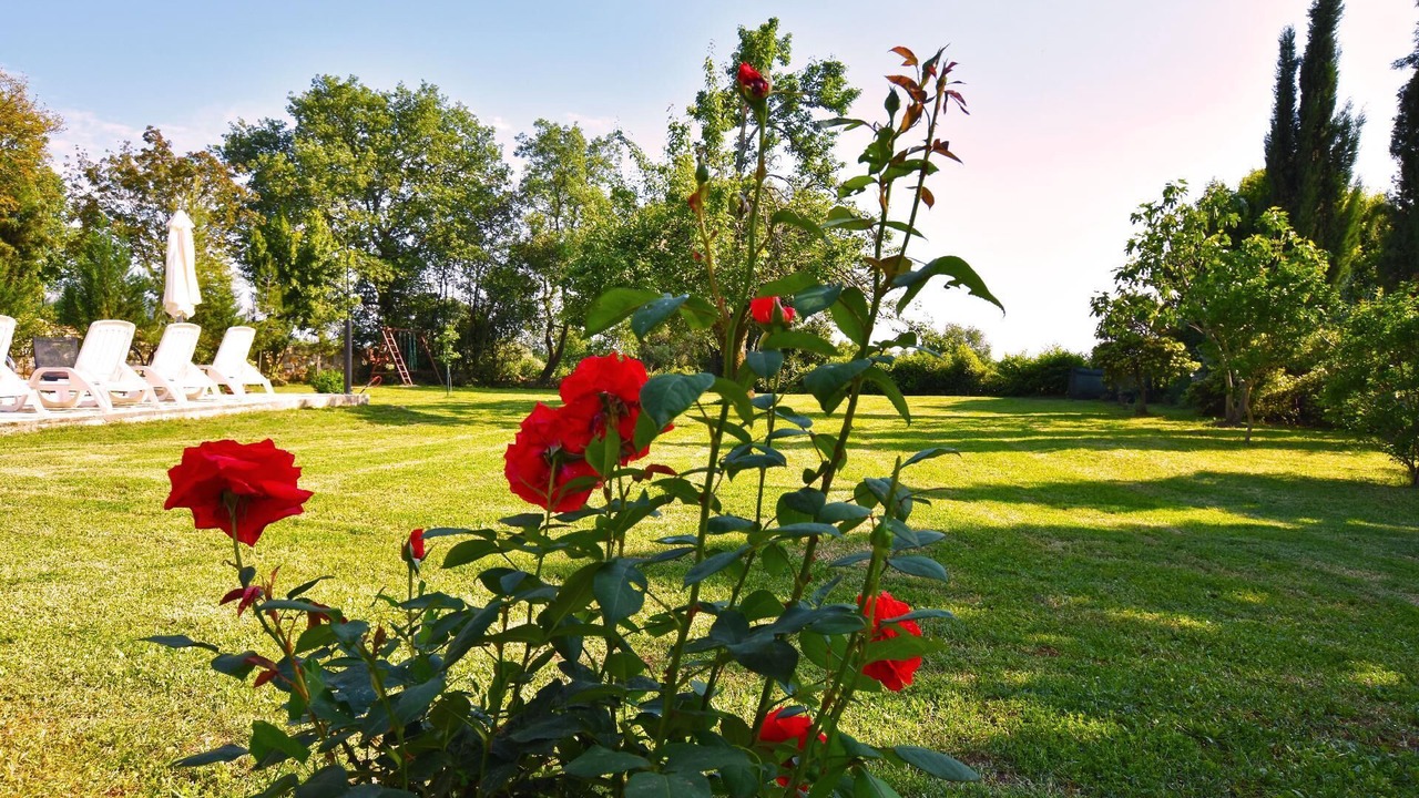 Photo of Outdoor in Kosinozici