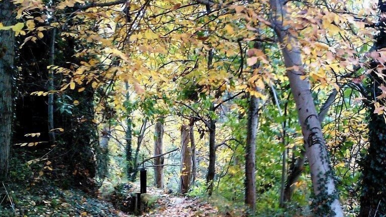 Photo of Outdoor in Carucedo
