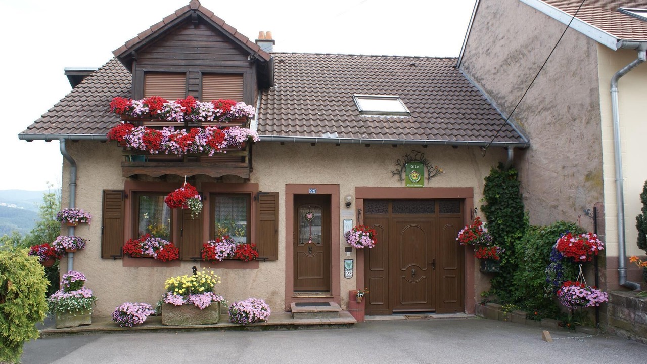 Photo of Outdoor in Haselbourg