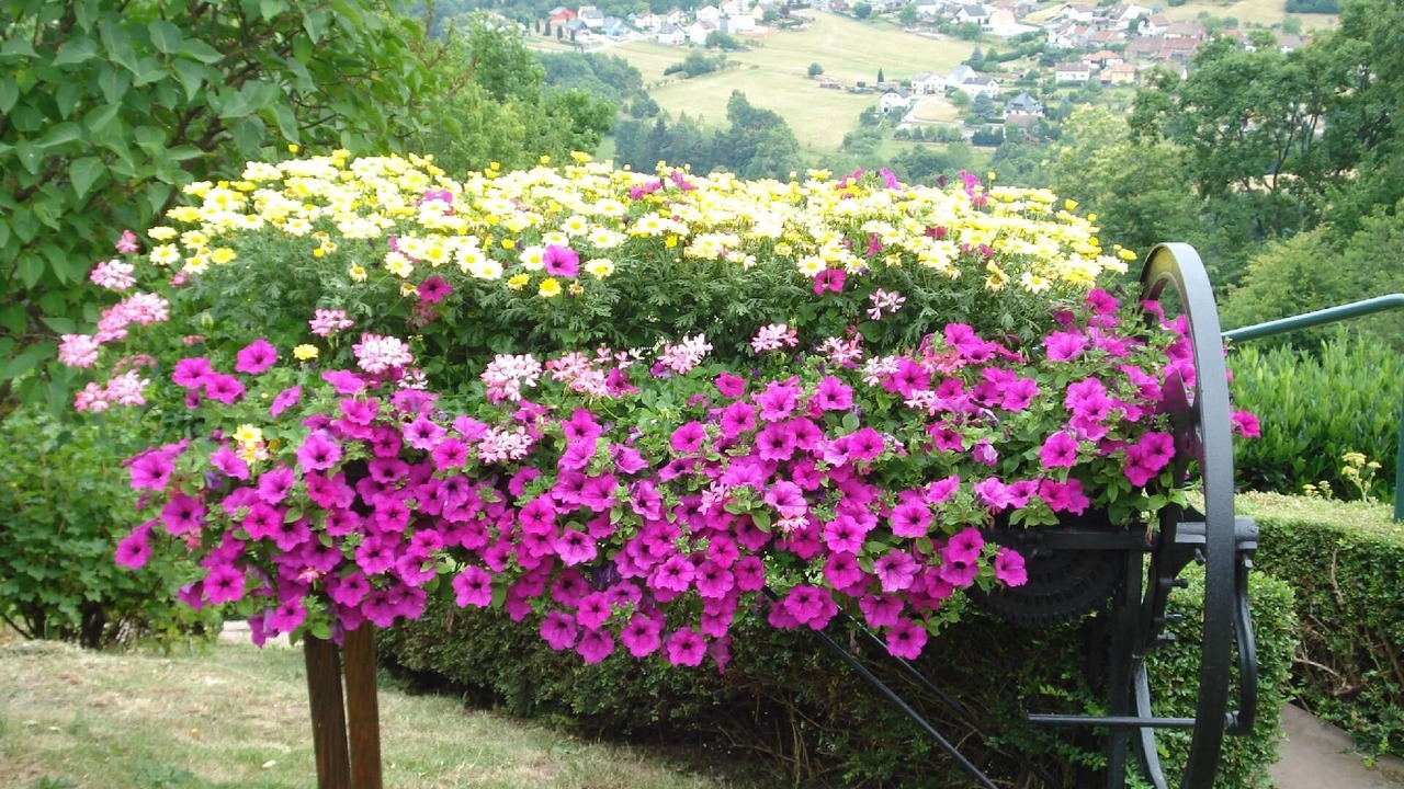 Photo of Outdoor in Haselbourg