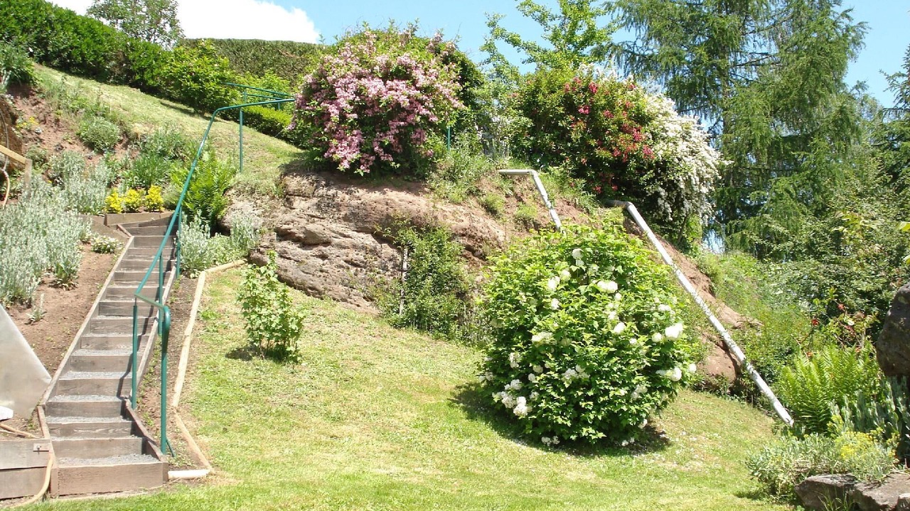 Photo of Outdoor in Haselbourg