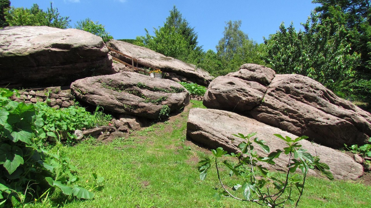 Photo of Outdoor in Haselbourg