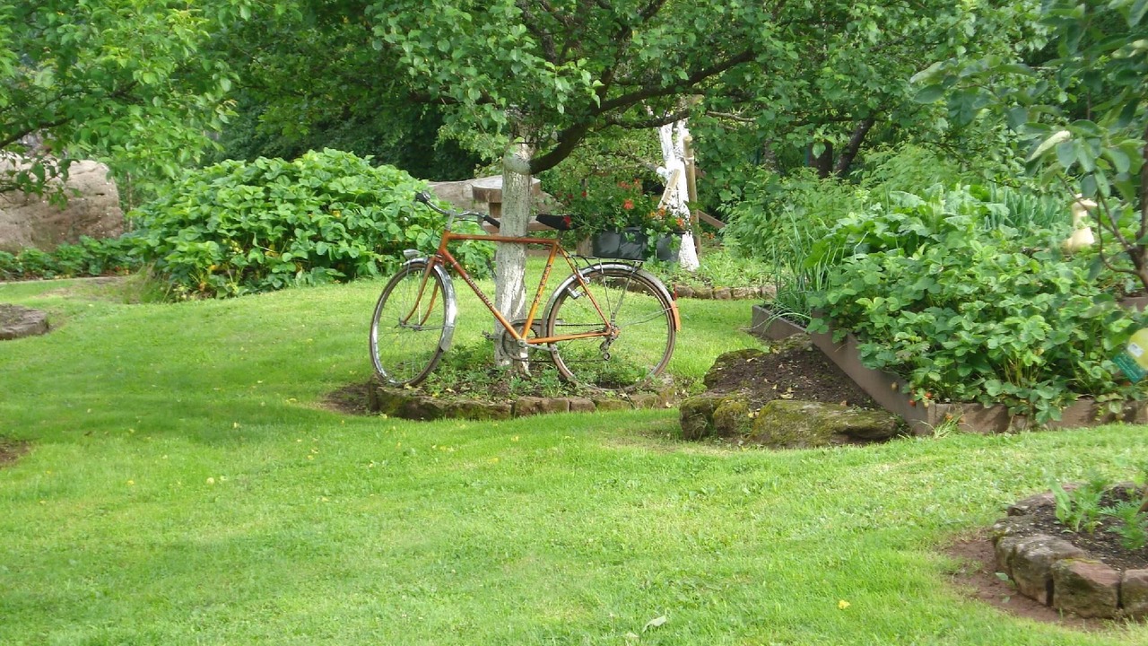 Photo of Outdoor in Haselbourg