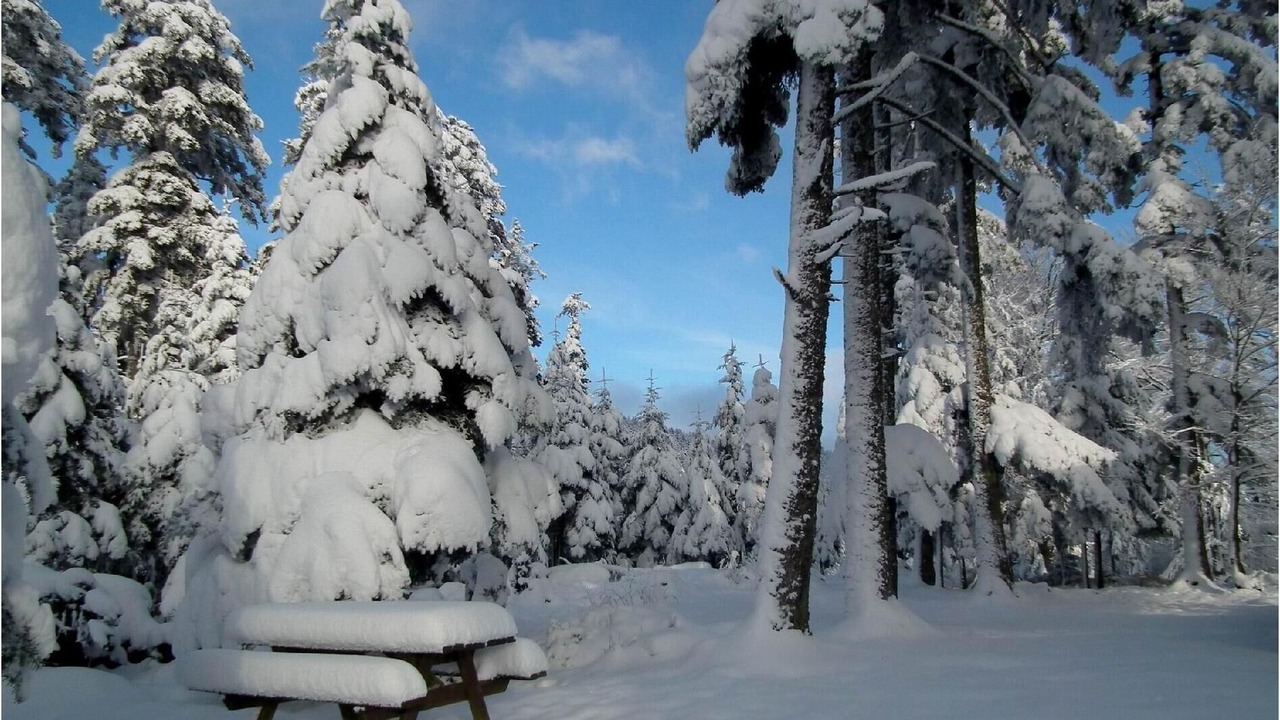 Photo of Others in Haselbourg