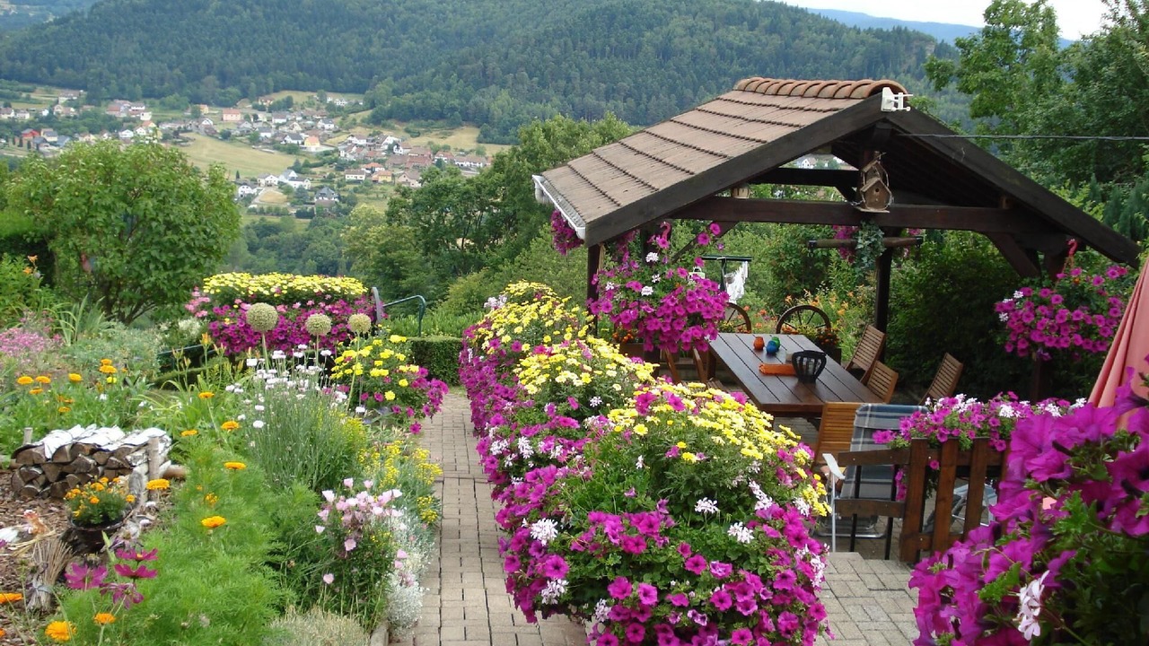 Photo of Outdoor in Haselbourg