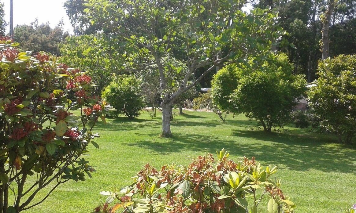 Photo of Outdoor in Plourivo