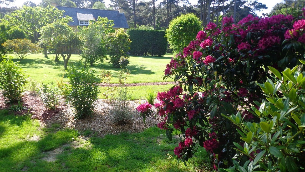 Photo of Outdoor in Plourivo