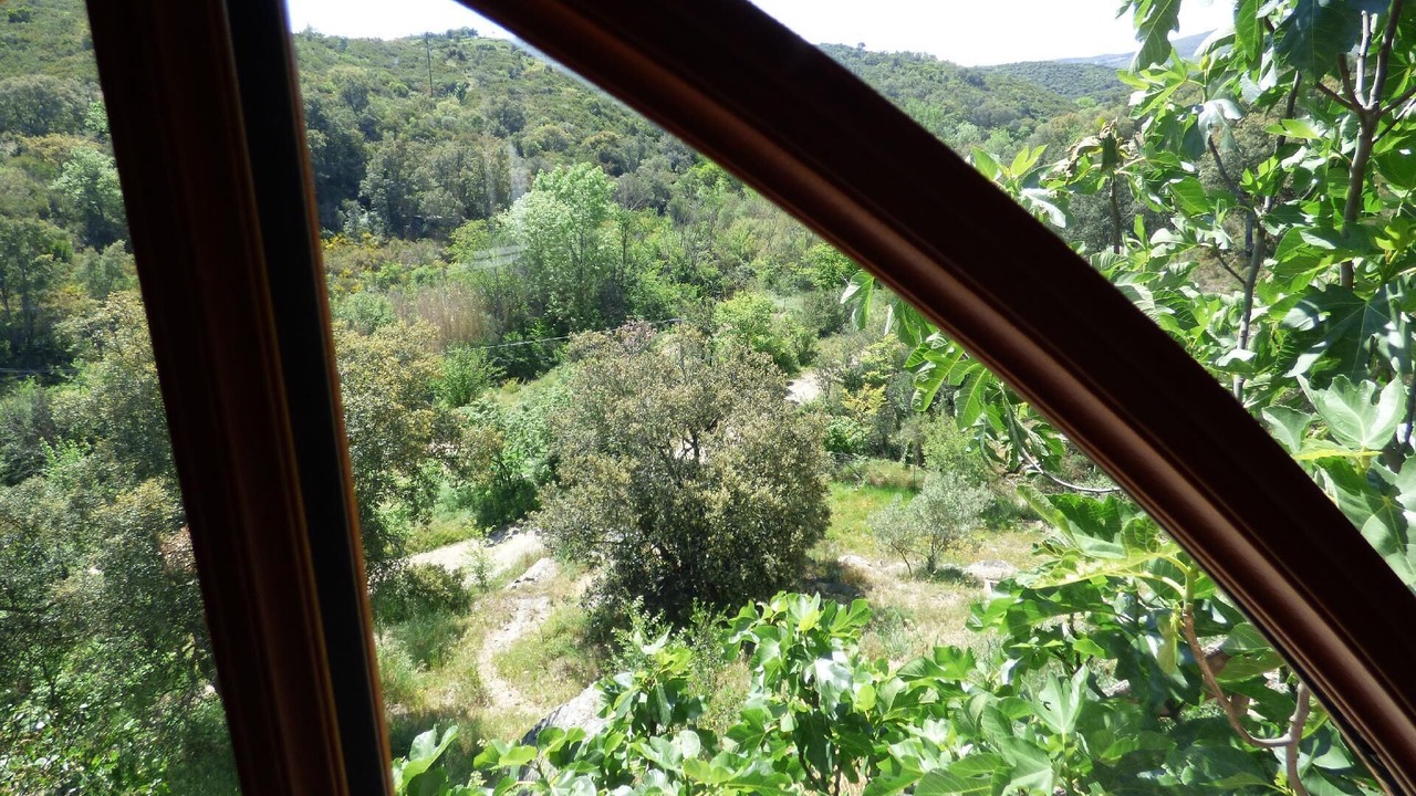 Photo of Others in Montauriol