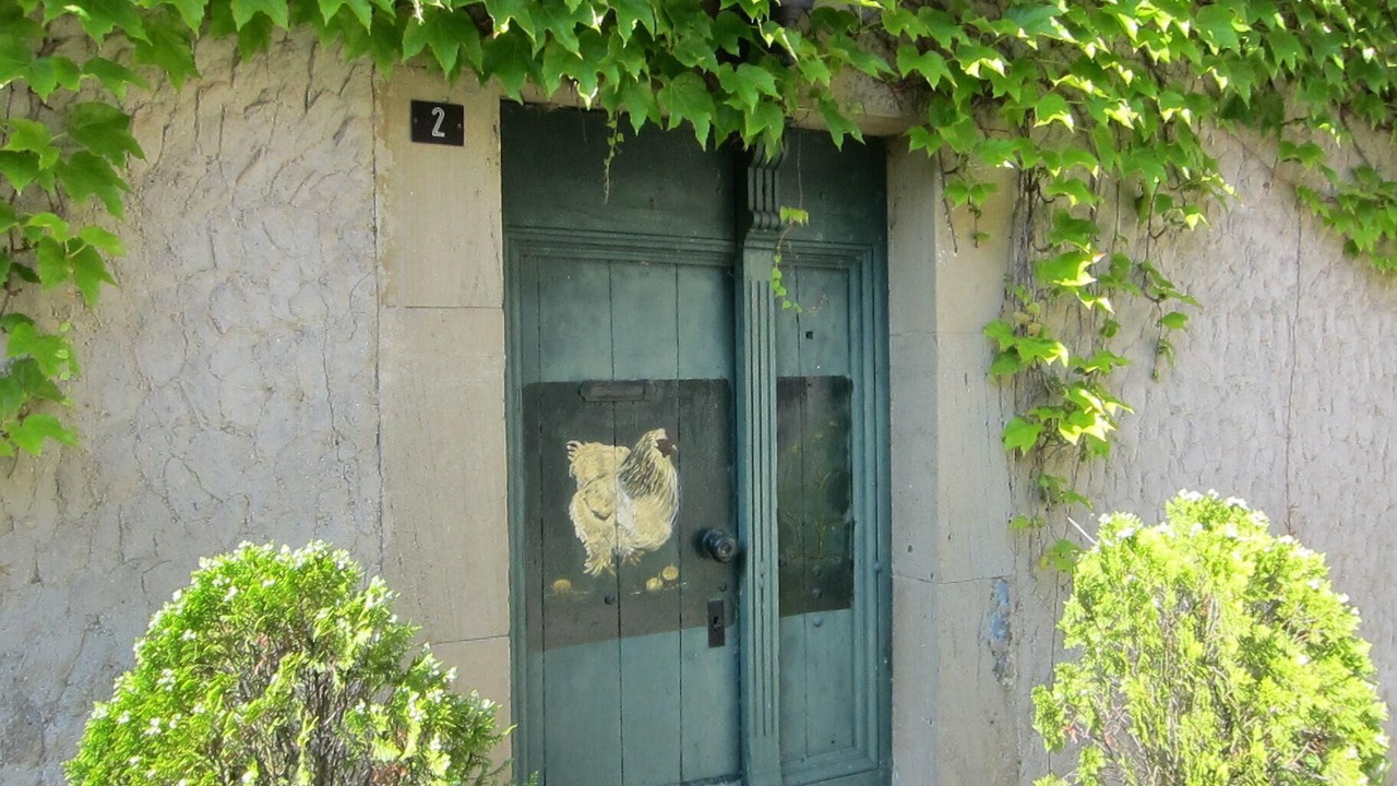 Photo of Outdoor in Peyrefitte-du-Razes