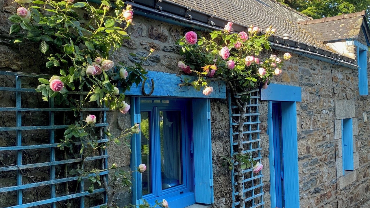 Photo of Outdoor in Saint-Aignan