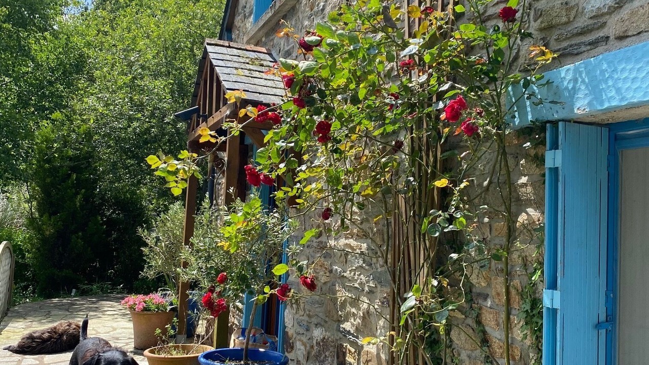 Photo of Outdoor in Saint-Aignan