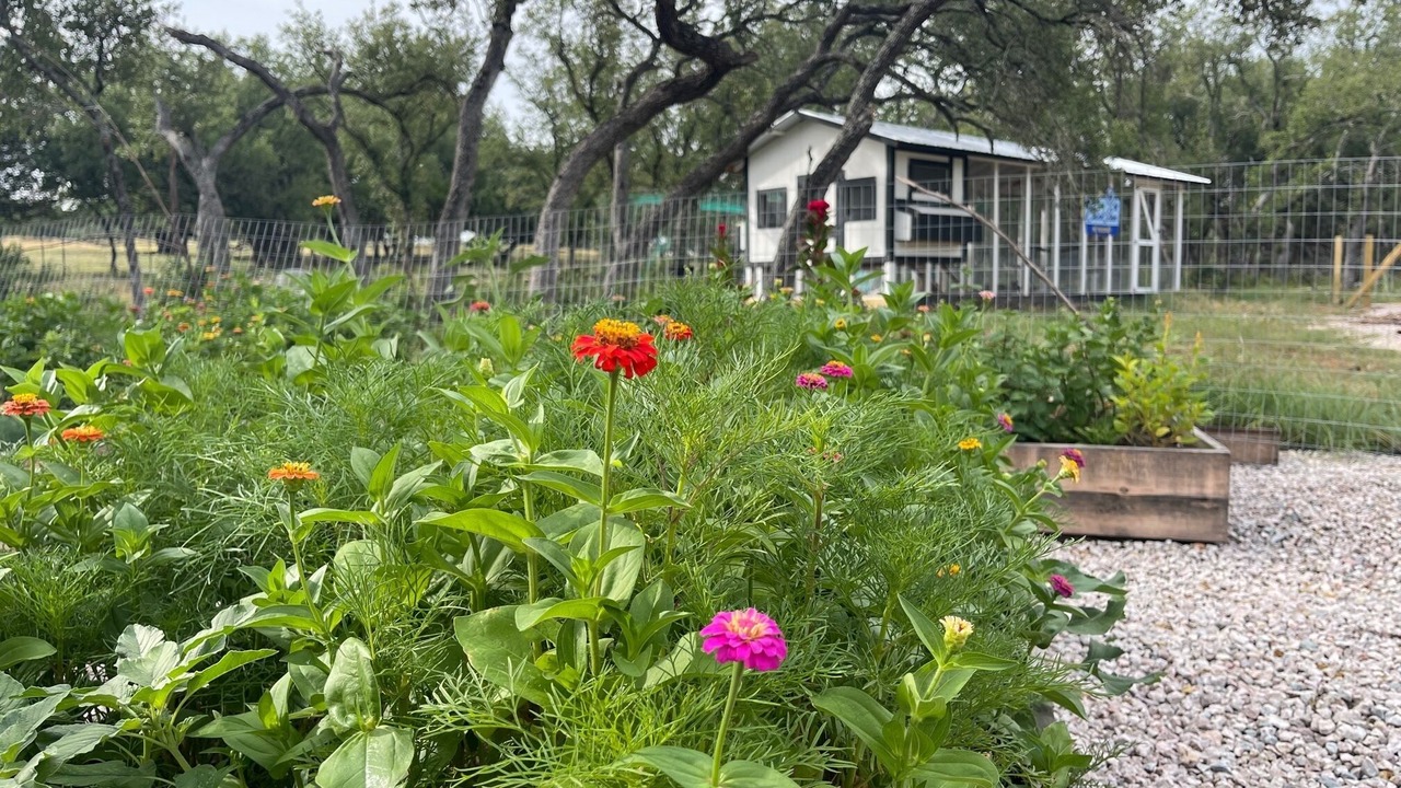 Photo of Outdoor in Johnson City
