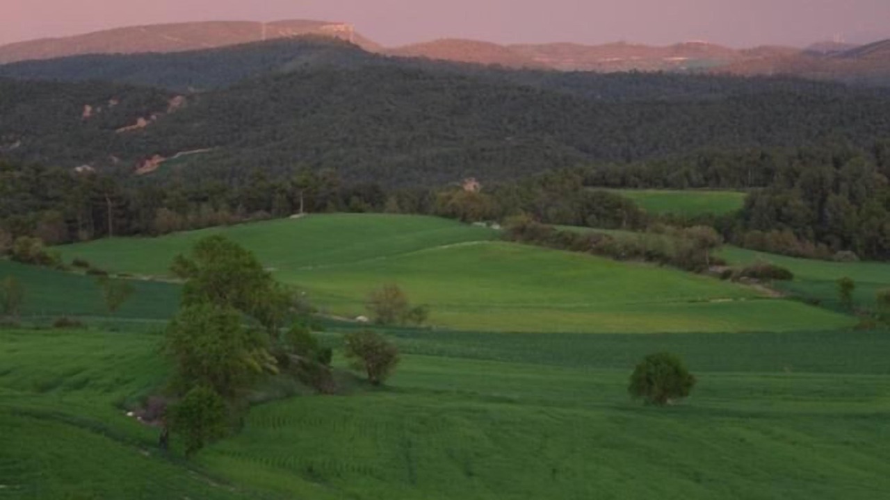 Photo of Others in Guialmons