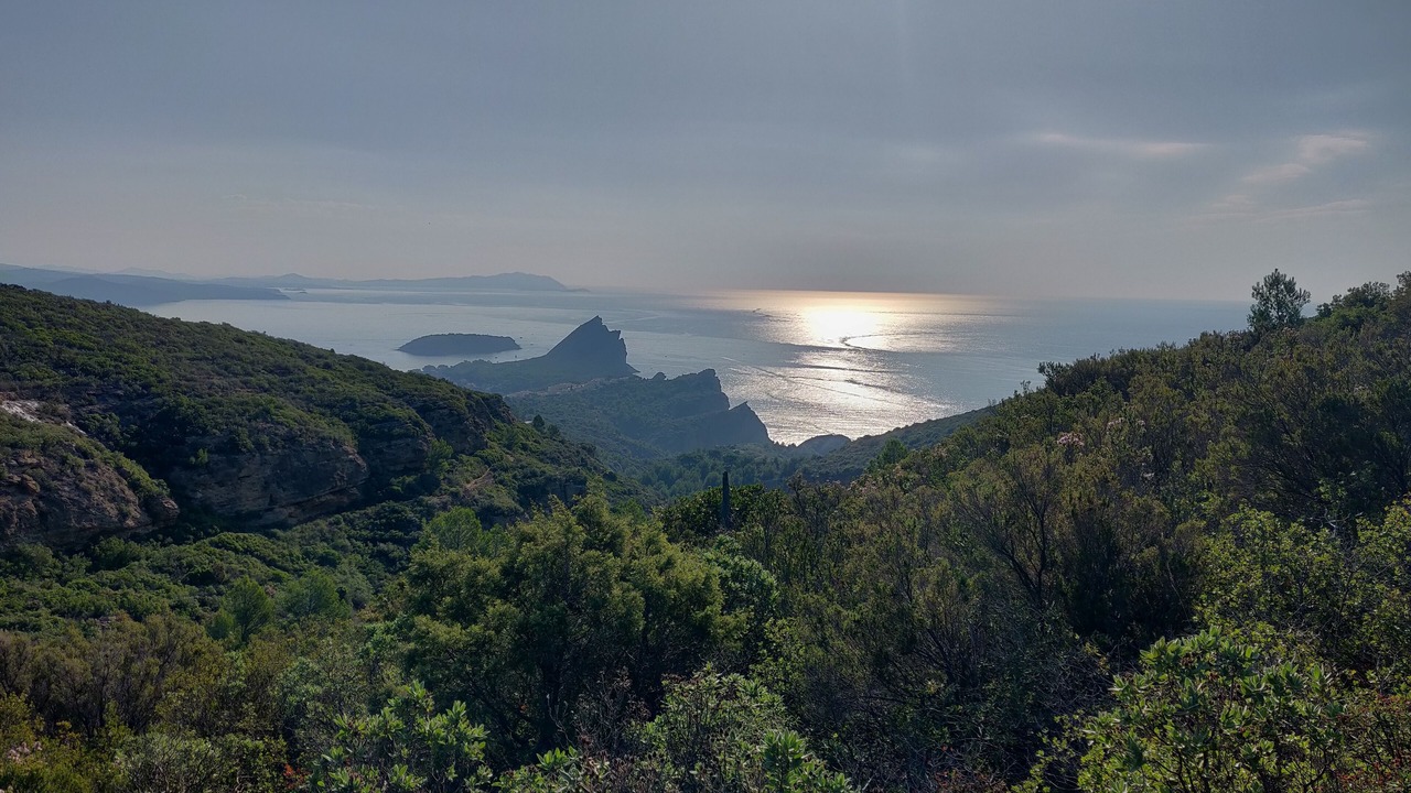 Photo of Others in La Ciotat