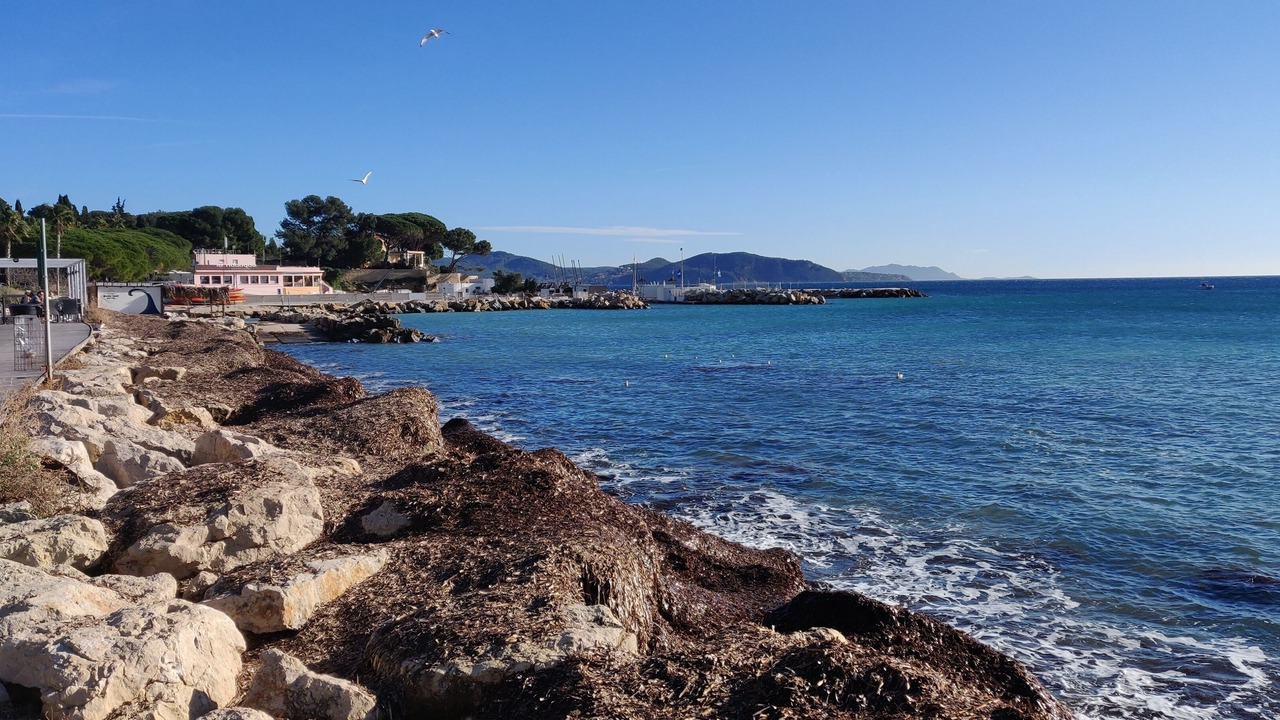 Photo of Others in La Ciotat