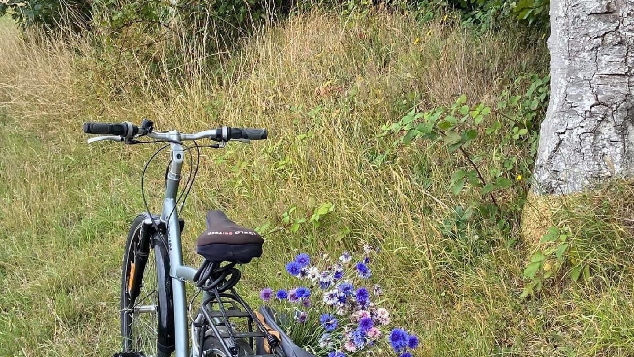 Photo of Outdoor in Bretteville-du-Grand Caux