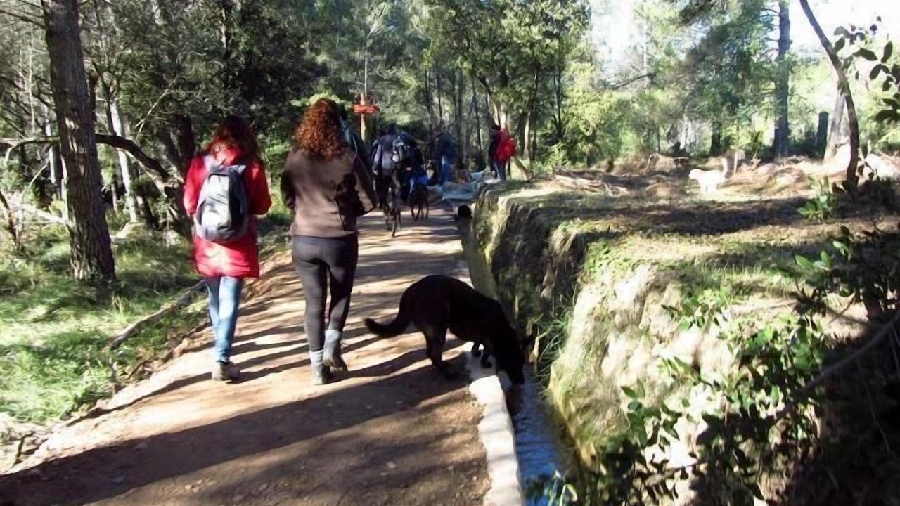 Photo of Outdoor in Alcover
