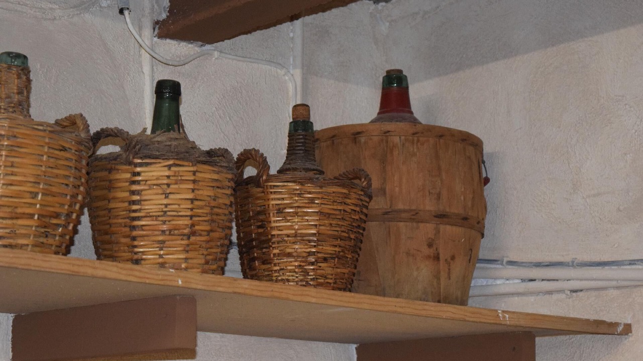 Photo of Others in Masllorens